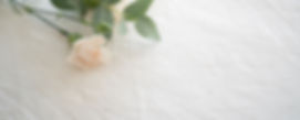 jacinta-christos-pJ8WXG5C_5U-unsplash_edited.jpg