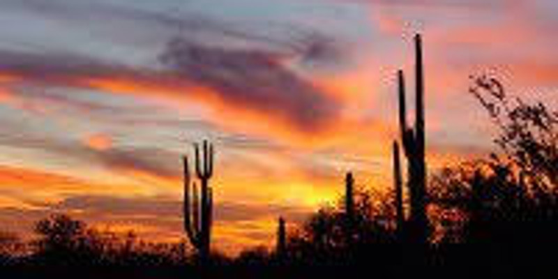 AzAAPT Fall Meeting