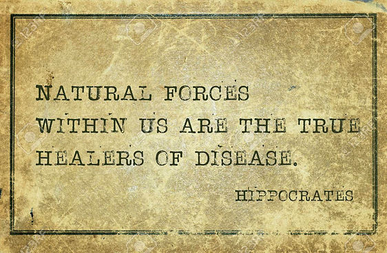 hippocrates quote.jpg