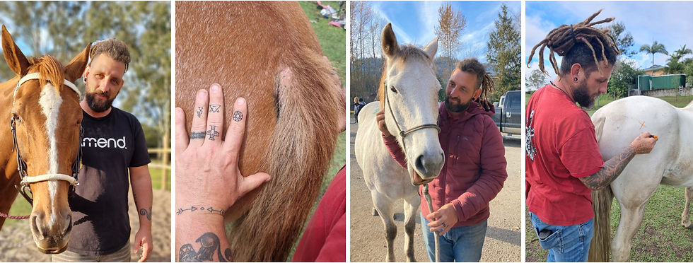 Facebook Cover Photo Aligned Freedom _edited.jpg