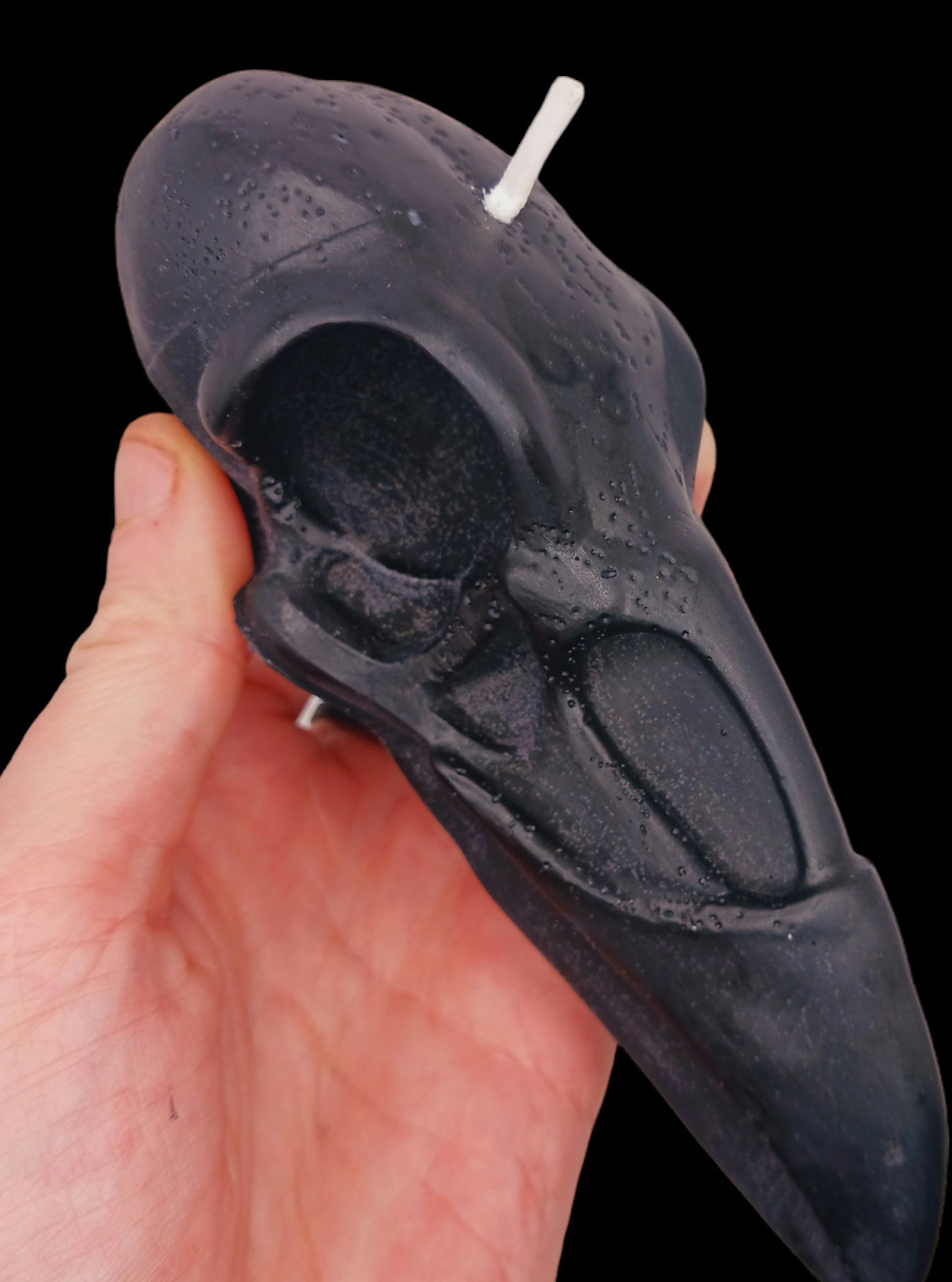 Raven Skull