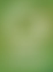 Reunião de Parceria | GOURA