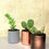 Thumbnail: MILLIE Minimal mini planters