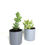Thumbnail: MILLIE Minimal mini planters
