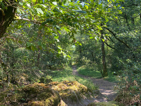 We du 1er août : nous avons de la disponibilité c’est calme et tranquille 😉contactez nous 🧙🏻♂️🌳