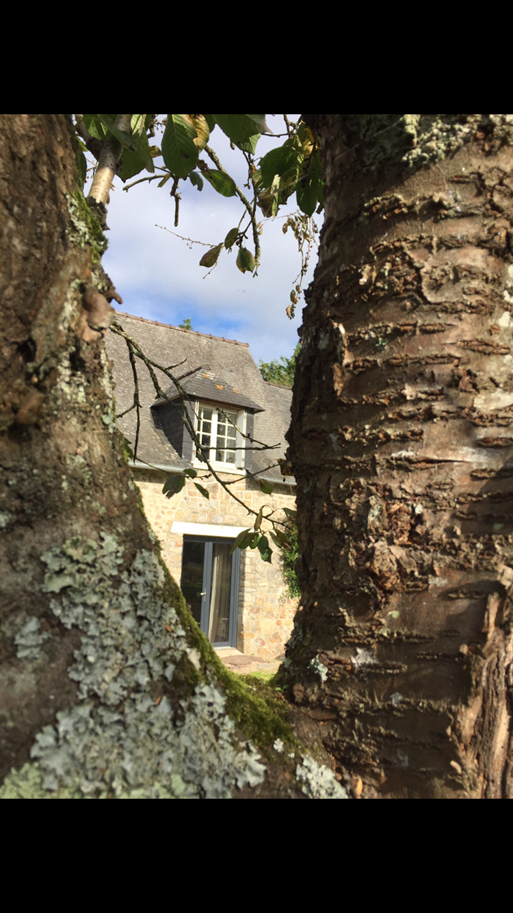 L'Hôtié de Brocéliande