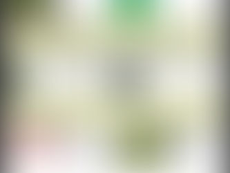 Programme culturel de Brocéliande