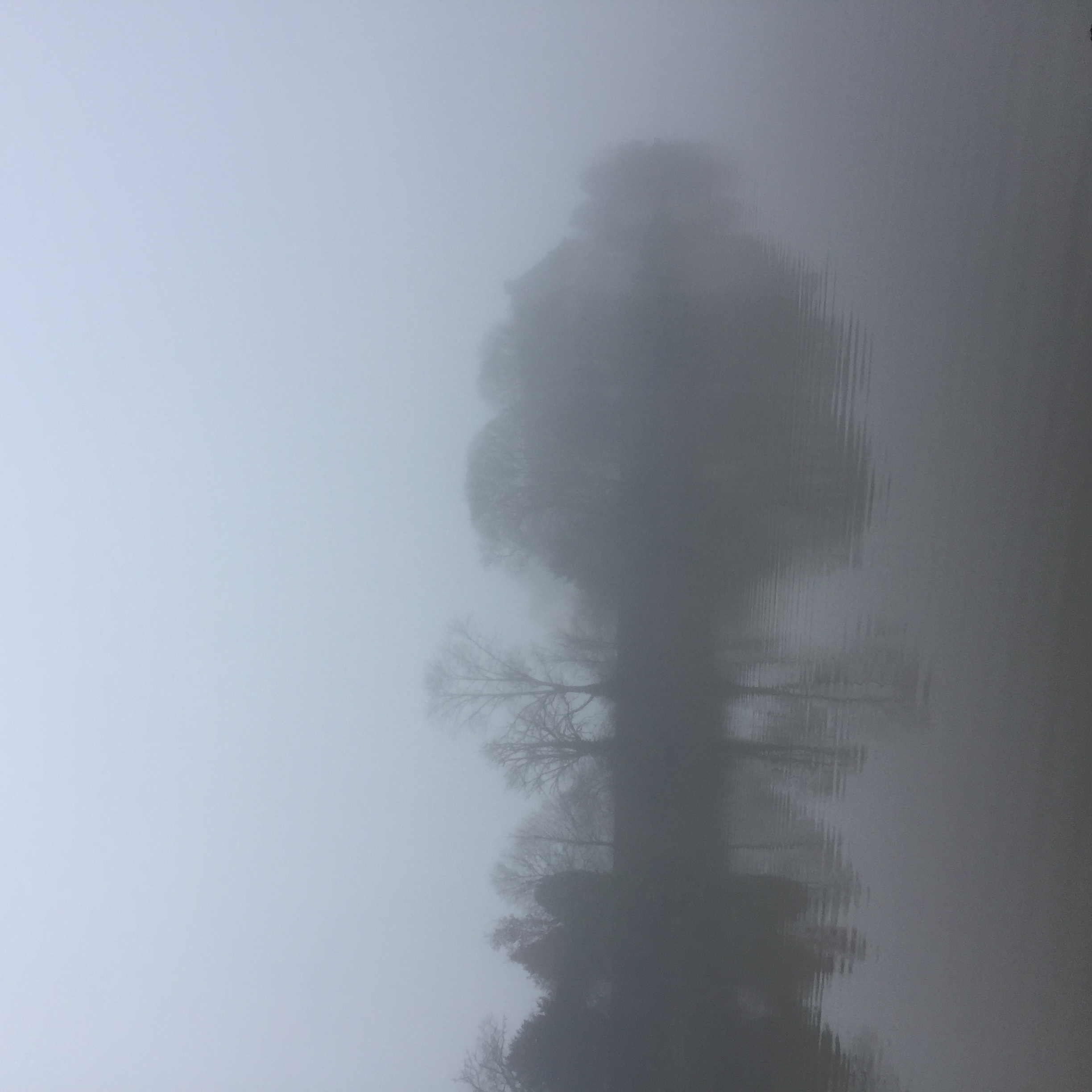 Brocéliande mystérieuse...