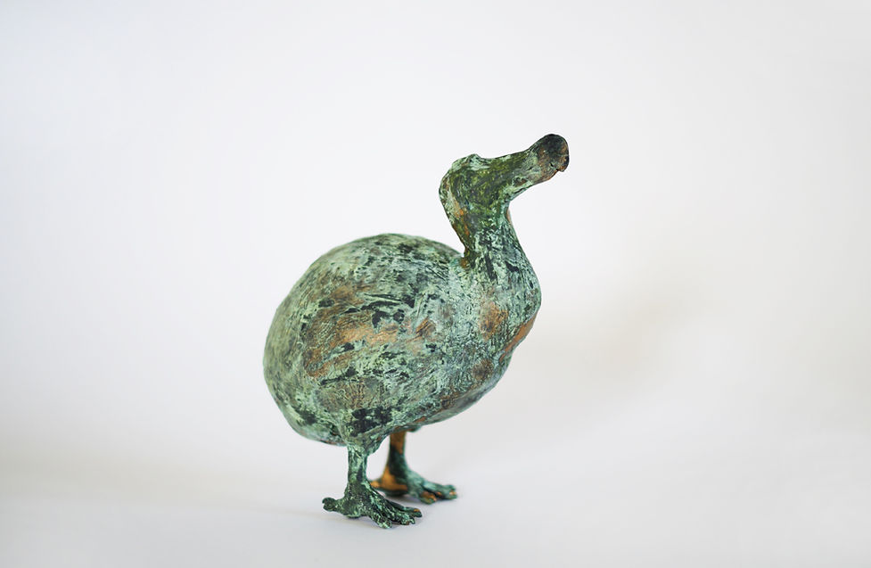 dodo.jpg