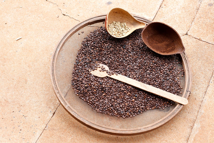 O Cultivo do Café nos dias atuais