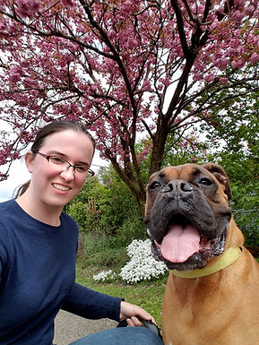 Patient Pawz Dog Training