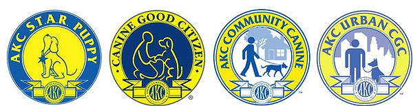 Canine Good Citizen
