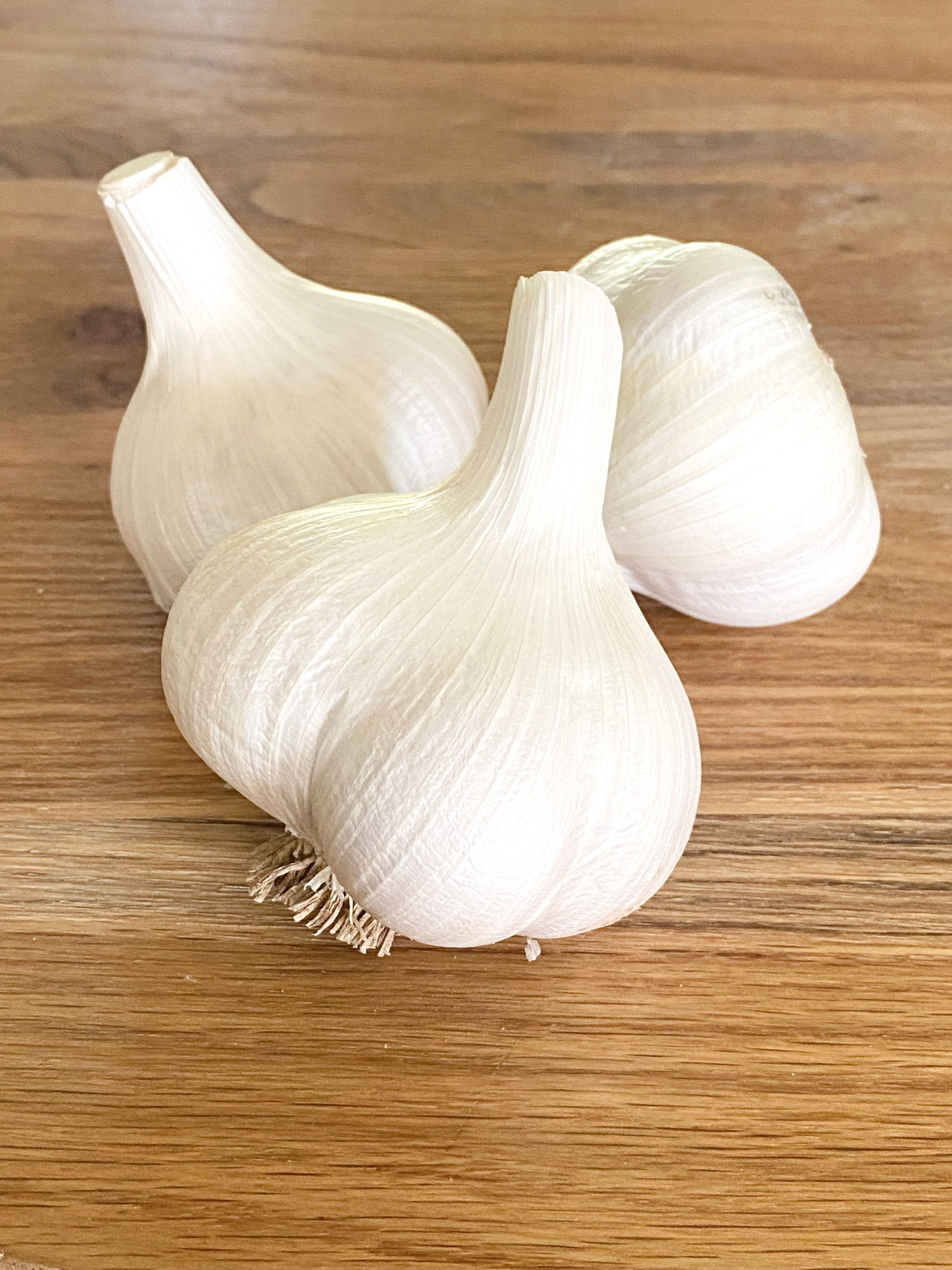 Certified Organic Russian Elephant Garlic