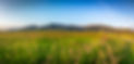 2023-7-7 TBD Glory Ln Bozeman MT-18_webMLS.jpg