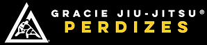 Logo GJJ Perdizes Color (HiRes).png