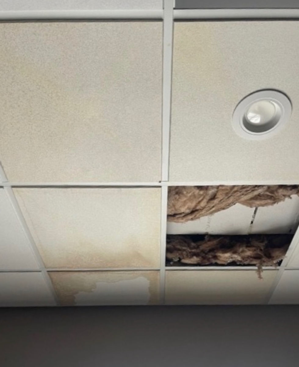 Commercial EPDM Roofing