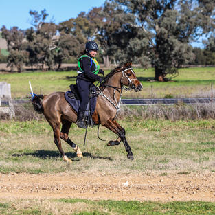 Cooroora Allyjah