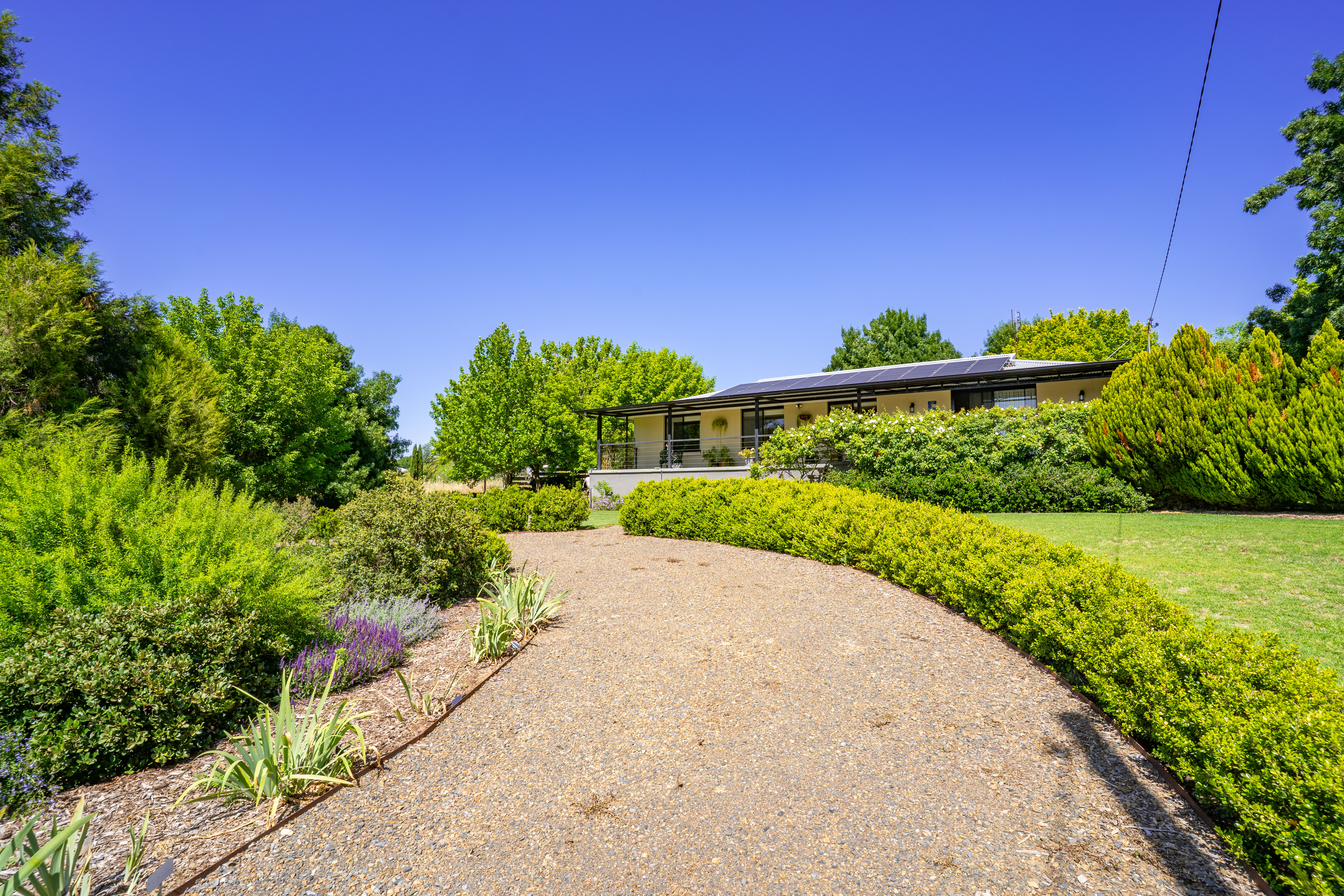 5 East Street, CANOWINDRA NSW 2804 - Image 1
