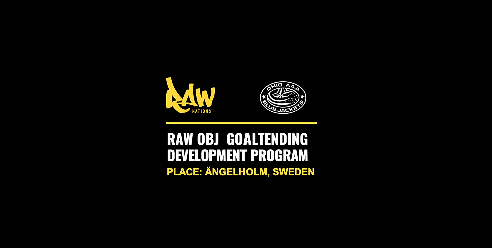 RAW OBJ GOALTENDING DEVELOPMENT PROGRAM