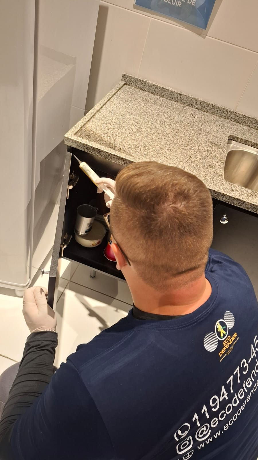 Dedetização em São Paulo