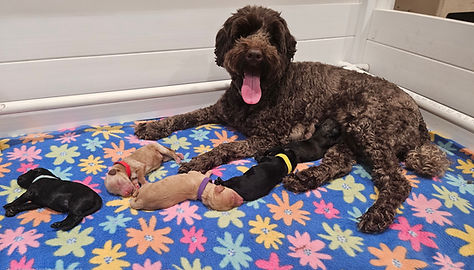 20251031_173558(1)(1) (1).jpg