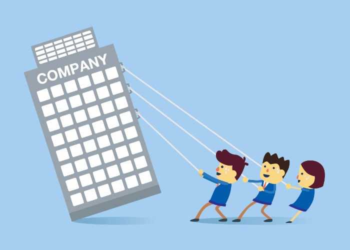 Company Formation