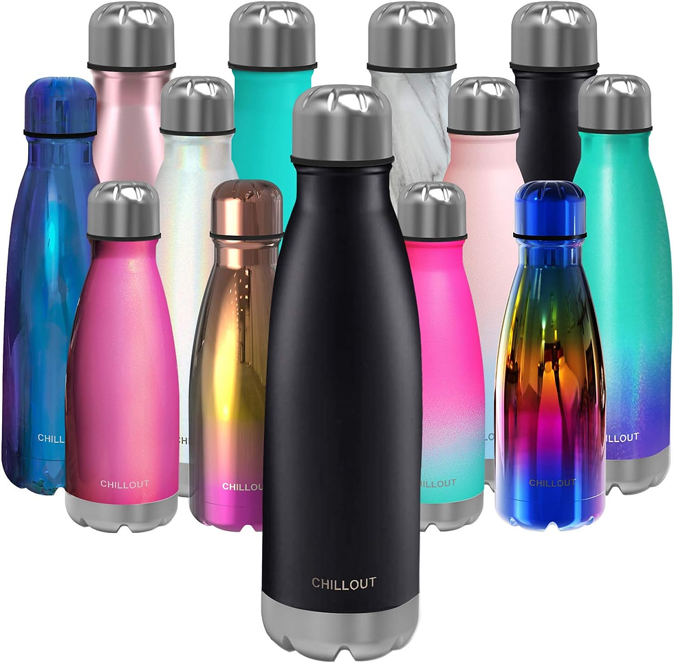 Chillout Life Stainless Steel Insulated Water Bottle