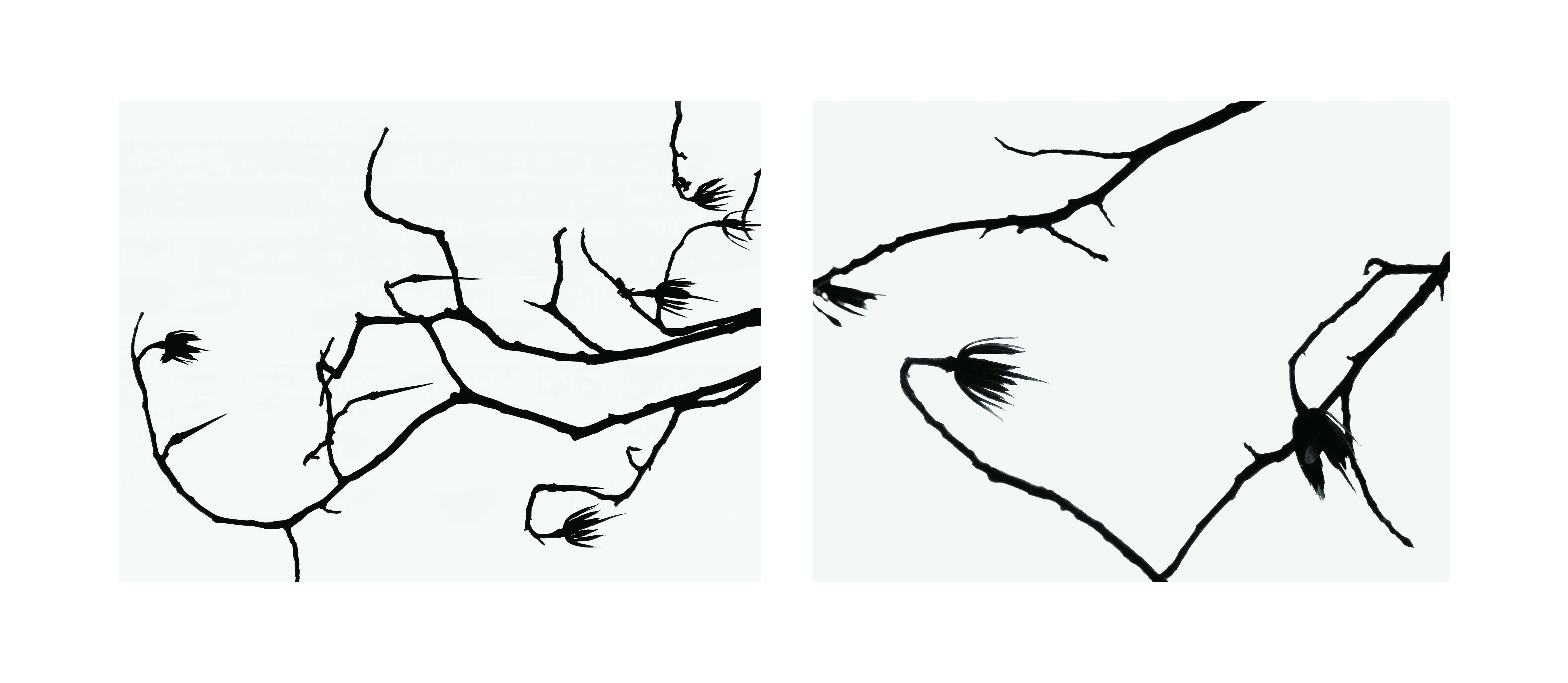 Tulip Tree Diptych 1