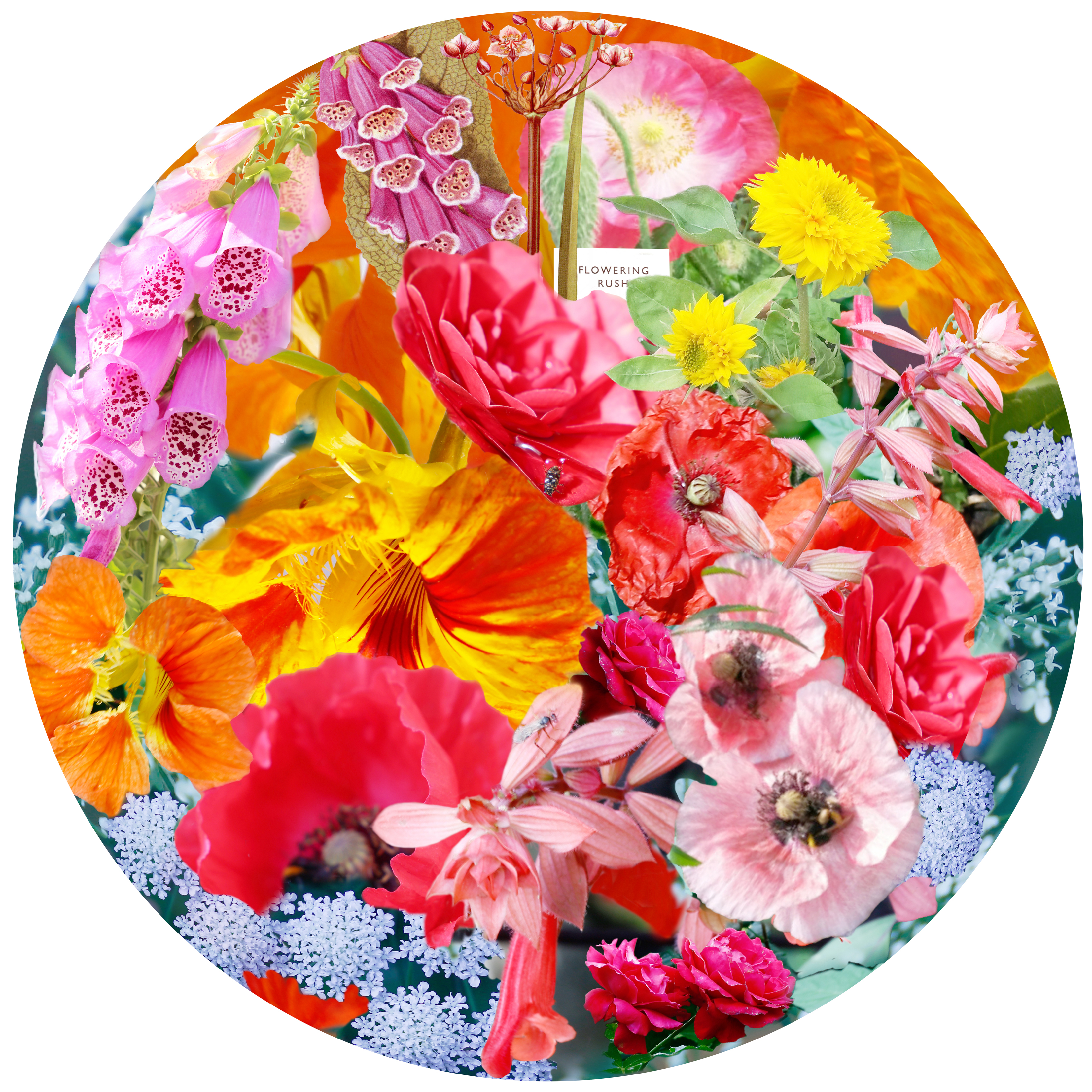 Floral Sphere:Garden 1