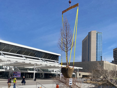 Urban Precision Lift: Installing Trees at State Farm Arena in Downtown Atlanta