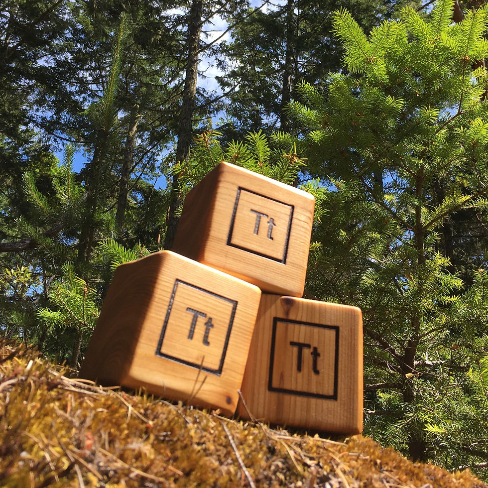 Tt Wooden Blocks
