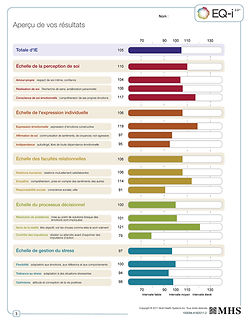 rapport-EQ-i-client_Page_03.jpg
