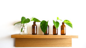 虫の目 鳥の目 魚の目