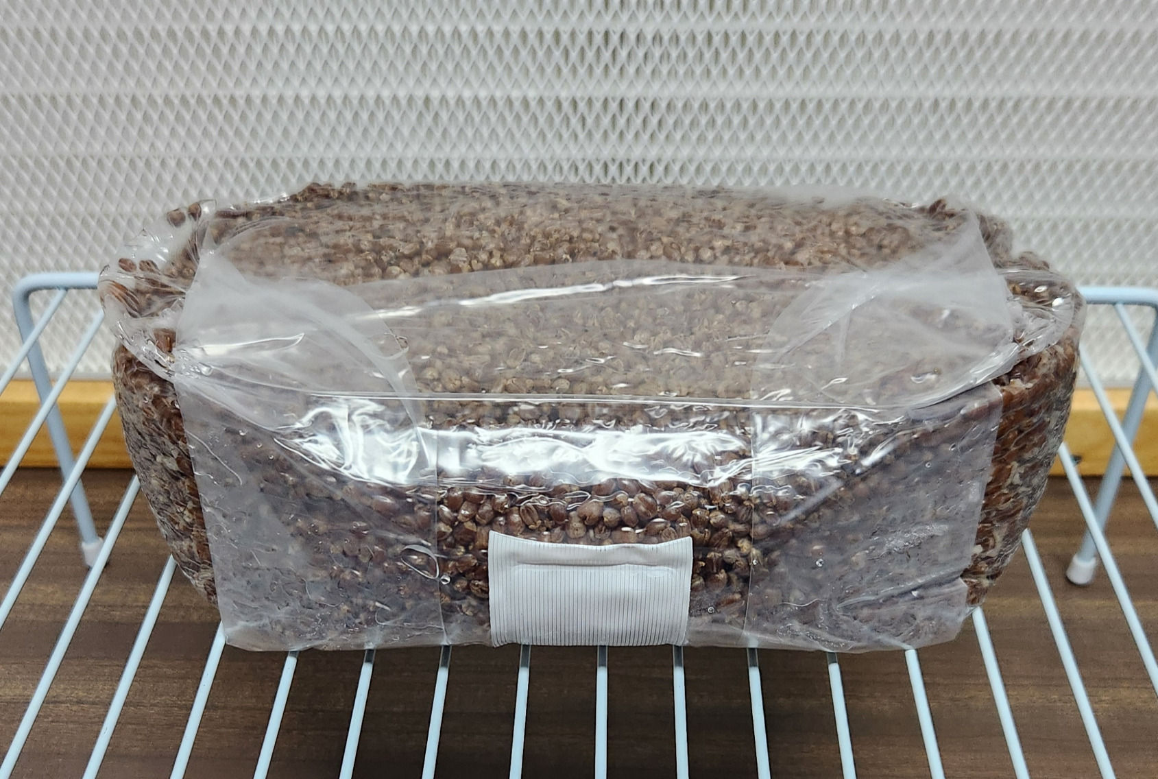 Sterilized Wheat Berries for mushroom grain spawn cultivation