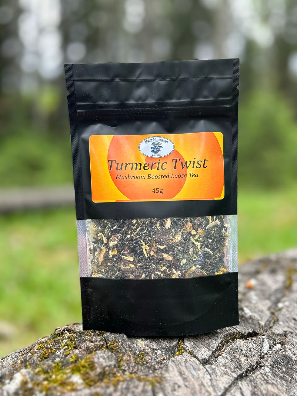 Product picture for Major Mushrooms Turmeric Twist Mushroom Boosted Tea