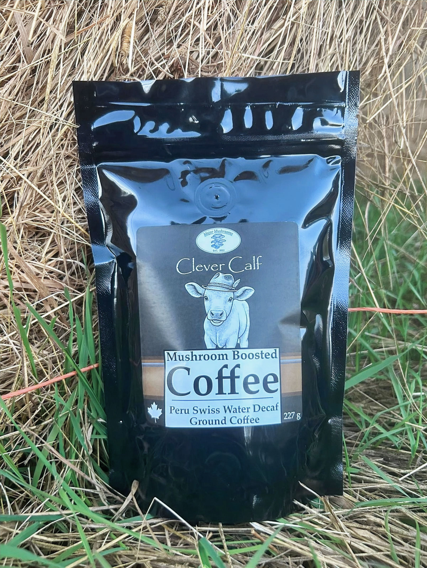 Major Mushrooms Clever Calf swiss water decaf mushroom boosted coffee on hay bale