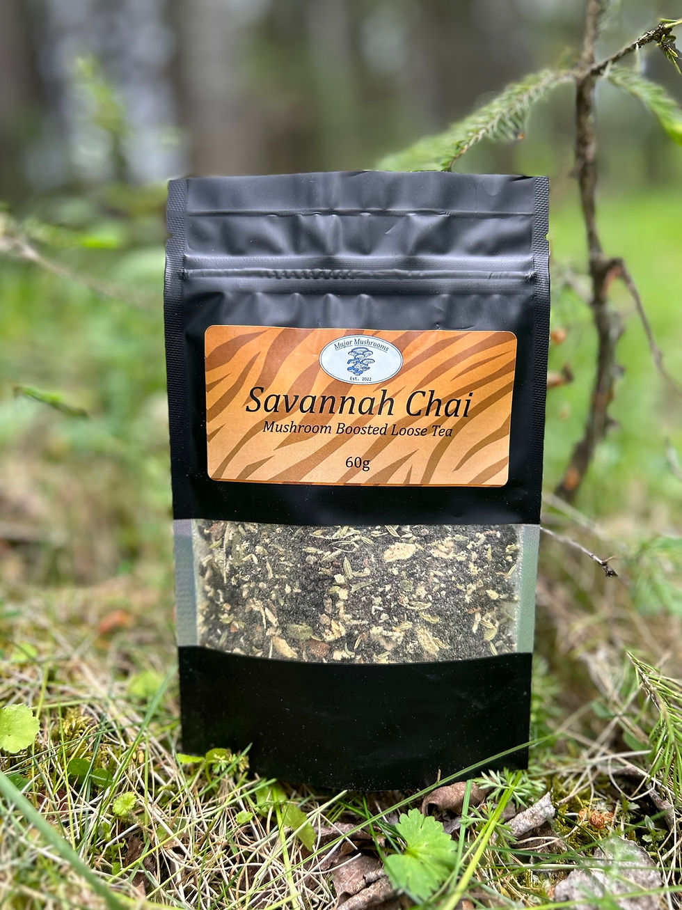 Product picture for Major Mushrooms Savannnah Chai Mushroom Boosted Tea