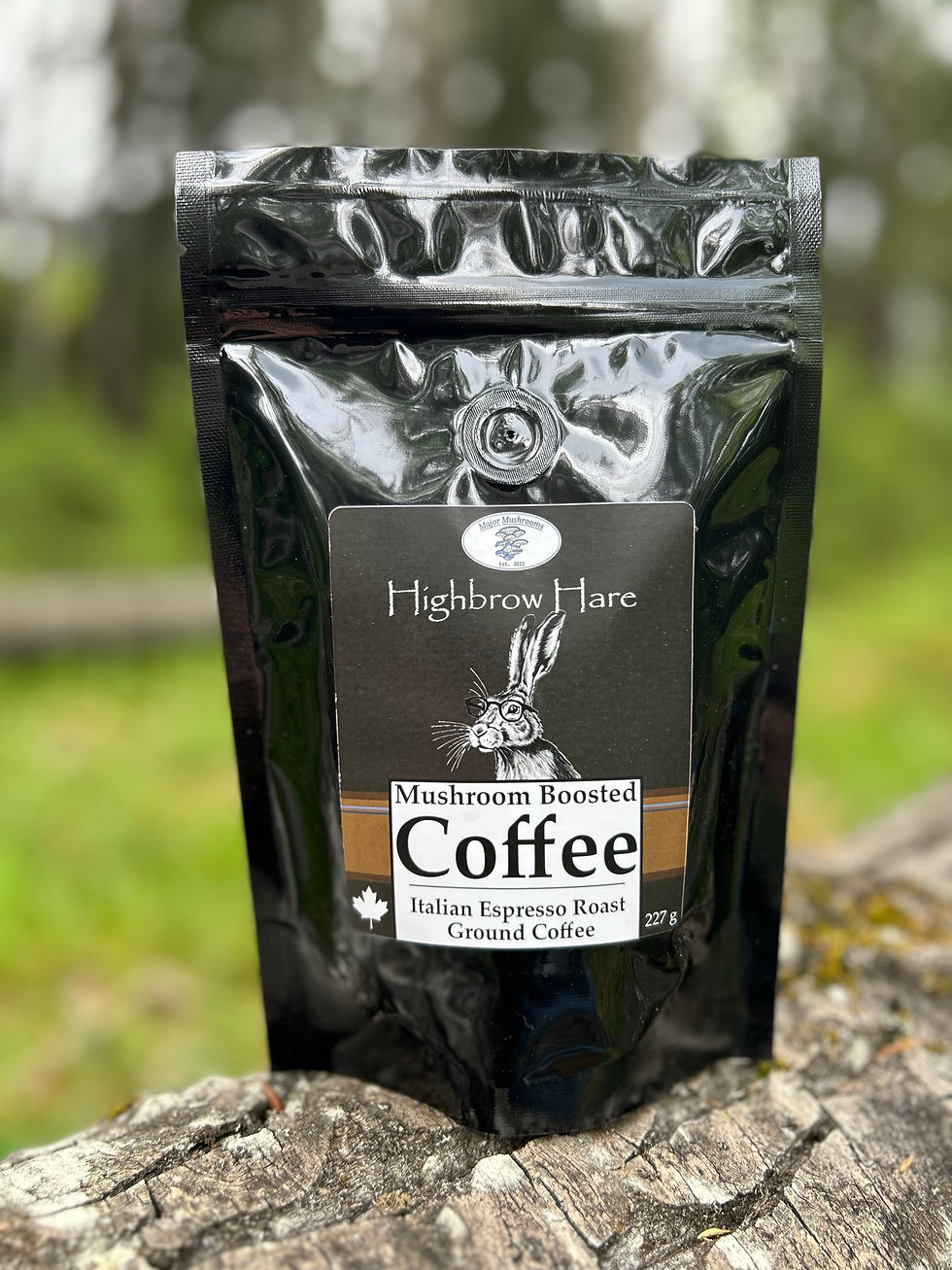 Product picture for Major Mushrooms Highbrow Hare Mushroom Boosted Coffee