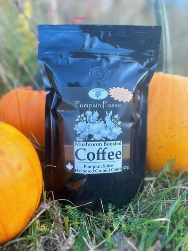 Pumpkin Posse - Pumpkin Spice | Major Mushrooms