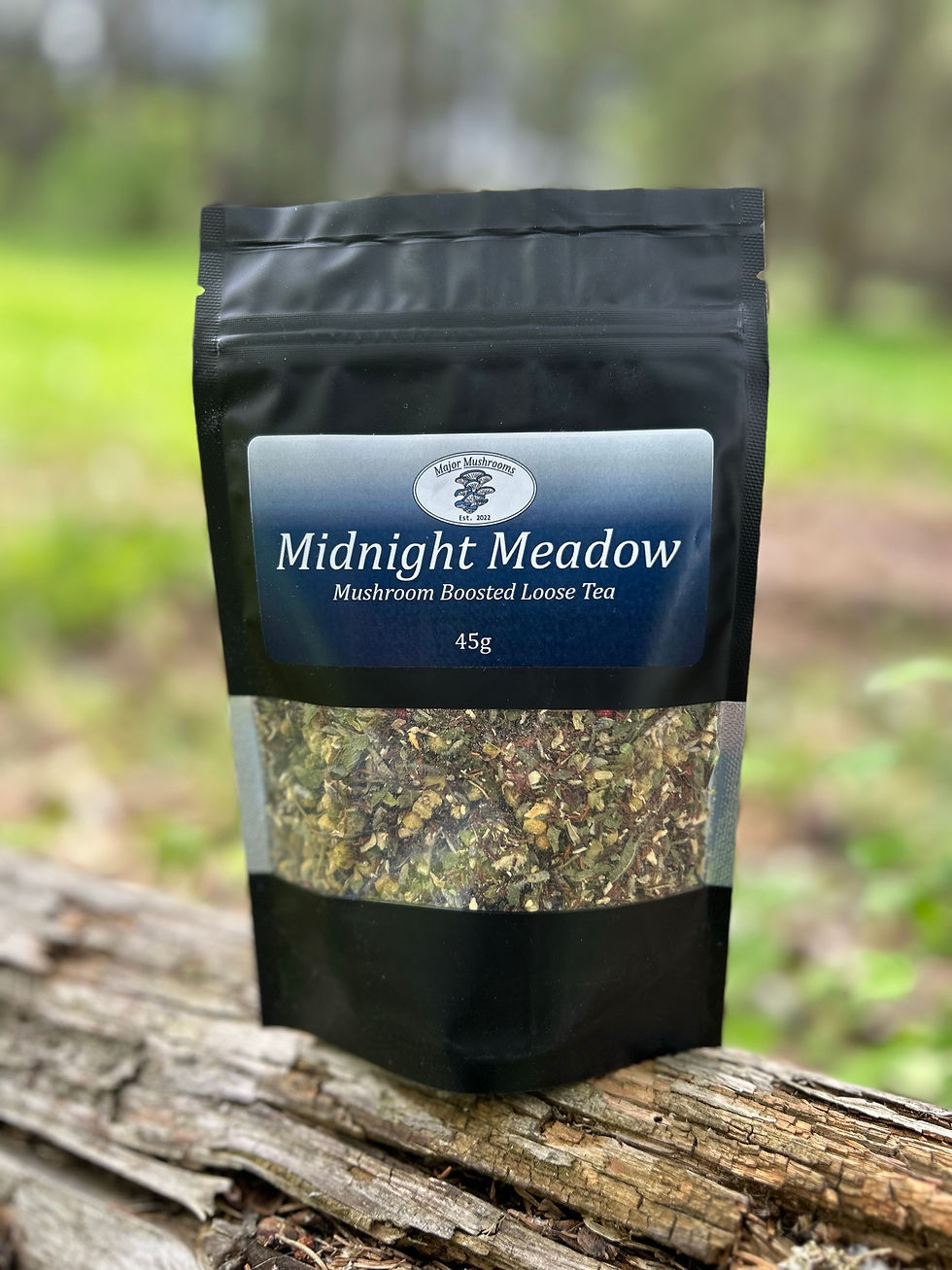 Product picture for Major Mushrooms Midnight Meadow Mushroom Boosted Tea