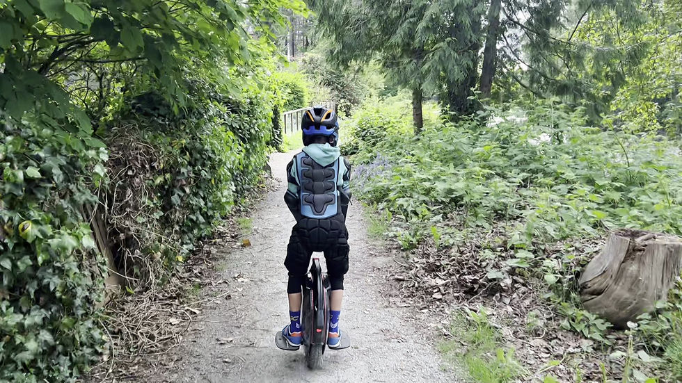 Thumbnail: InMotion V10F