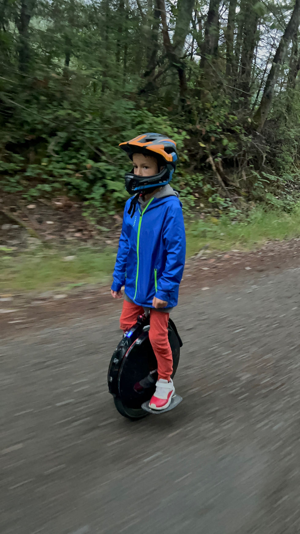 Thumbnail: InMotion V8F