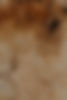 marina-reich-HYZLZYJfkIk-unsplash_edited.jpg