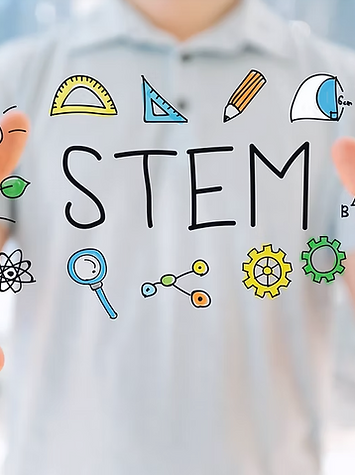 stem.png
