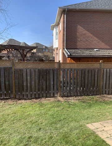 Fence look after