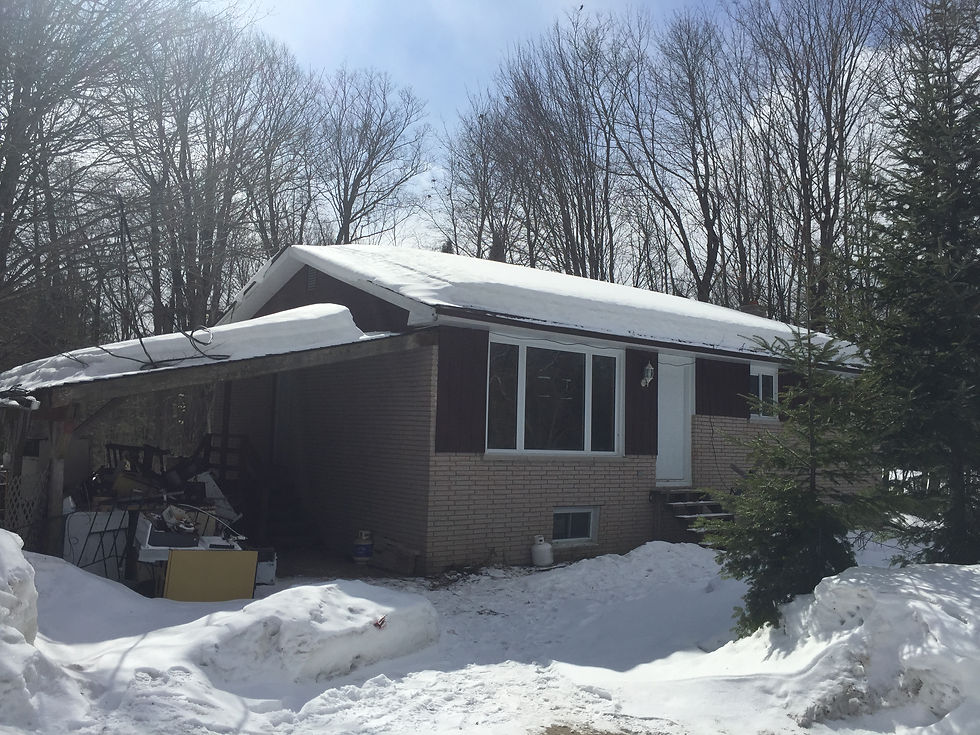 House with the carport before