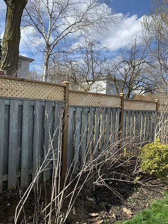 Fence look after, Burlington