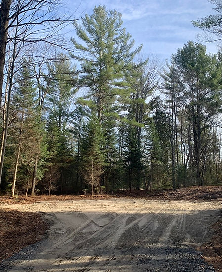 Building a driveway, Bracebridge