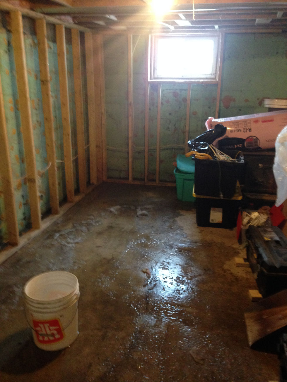 Basement before renovation