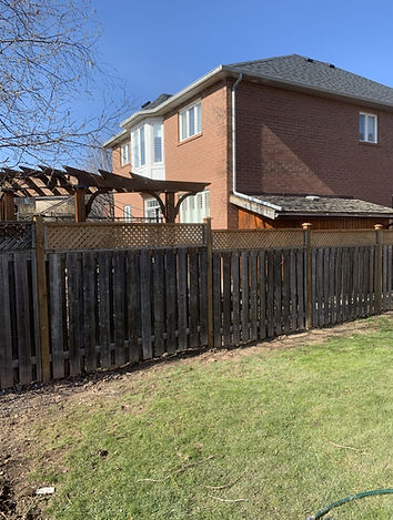 Fence look after